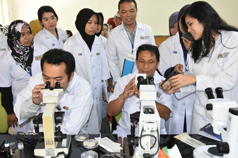 BIOTROP Conducts Training Course on Identification of Mycotoxin-producing Fungi