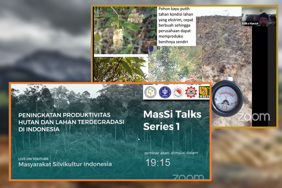 BIOTROP’s Director Talks Over the Potential of Cajuput Trees in Post-Mining Land Reclamation