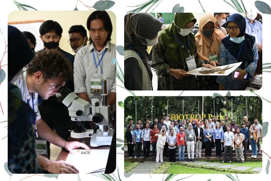 CRC 990-EFForTS, SEAMEO BIOTROP Conduct the 2nd Training Workshop on Tropical Plant Identification